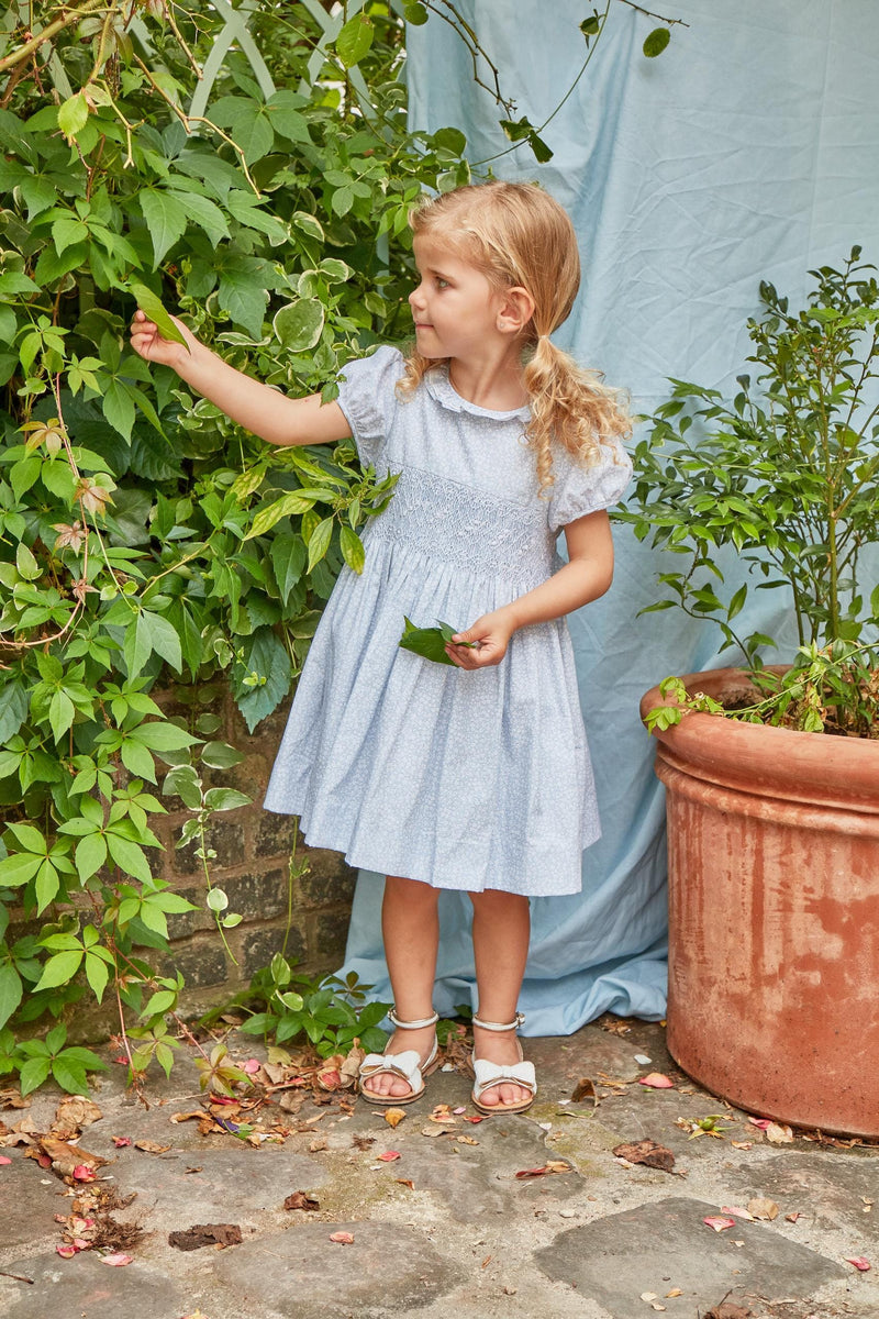 Hars, smocked dress with puffed-sleeved, triple collar, in Small sky blue print